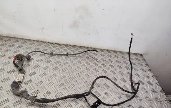 Volkswagen Atlas Other wiring loom 3QF971111A