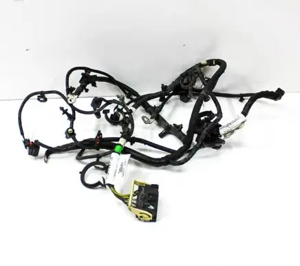 Other wiring loom