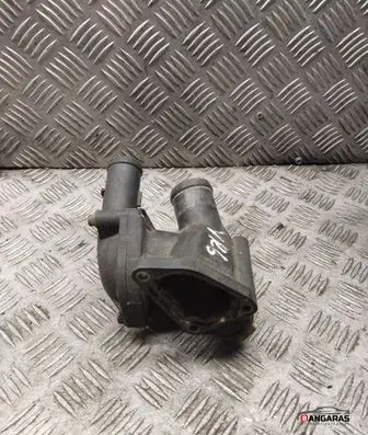 Thermostat/thermostat housing
