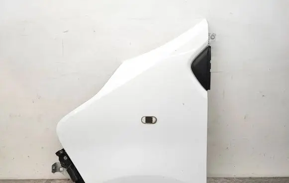 Renault Trafic III (X82) Fender