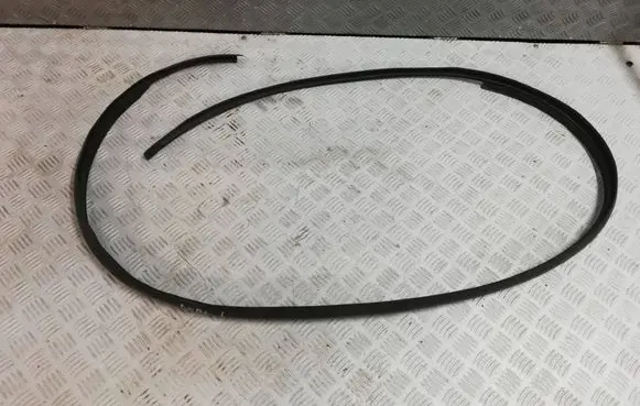 Fiat Doblo Rubber seal front door (on door) NDDL