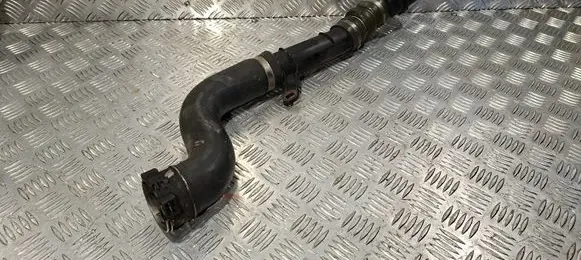 Nissan Juke I F15 Air intake hose/pipe 1103650S01