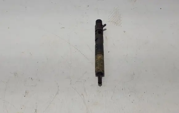 Renault Megane III Fuel injector 8200794299