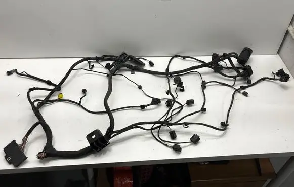 BMW X5 F15 Other wiring loom 921481704 1355125 6947845