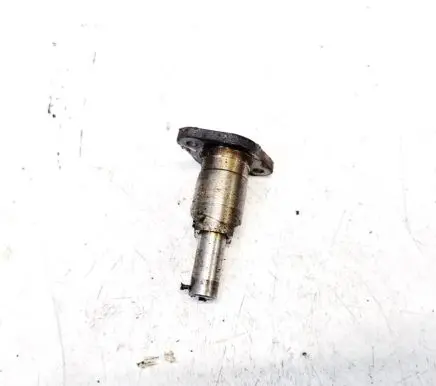 Toyota Prius (XW30) Slide rail for timing chain 