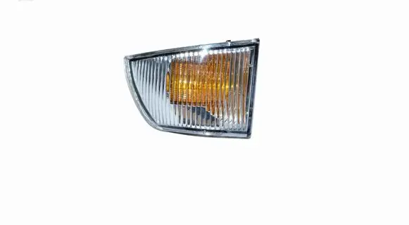 Iveco Daily 45 - 49.10 Mirror indicator light 3801914