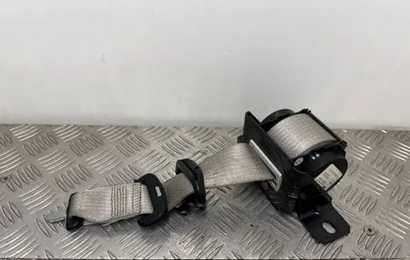 Chrysler Pacifica Roof seat belt 6294882