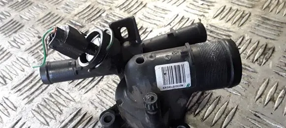 Thermostat/thermostat housing