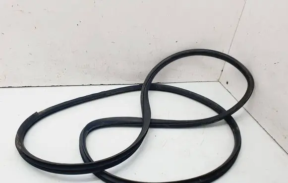 Hyundai ix 55 Rear door rubber seal (on body) 