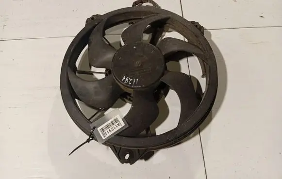 Renault Laguna III Radiator cooling fan shroud GMV80CEM00