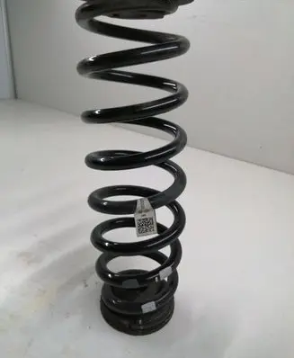 Hyundai Kona I Rear coil spring 55330K4000