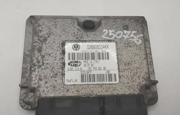 Seat Ibiza III (6L) Engine control unit/module 036906034KK 6160131801 5D53J6K7F