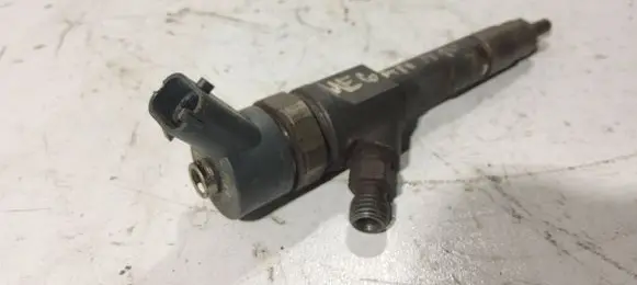 Renault Megane II Fuel injector 0445110