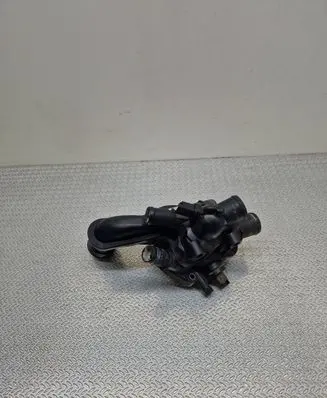 Thermostat/thermostat housing