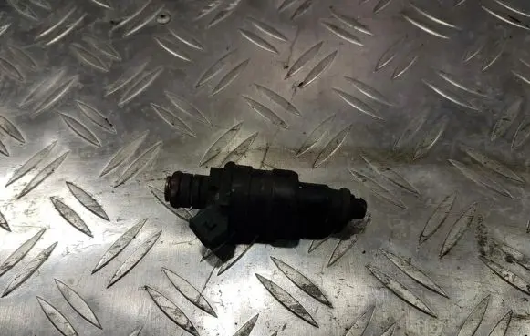 Renault Scenic I Fuel injector 875368