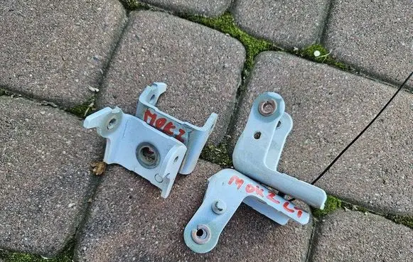 Opel Mokka B Front door lower hinge 5O5P5L5E5X1743