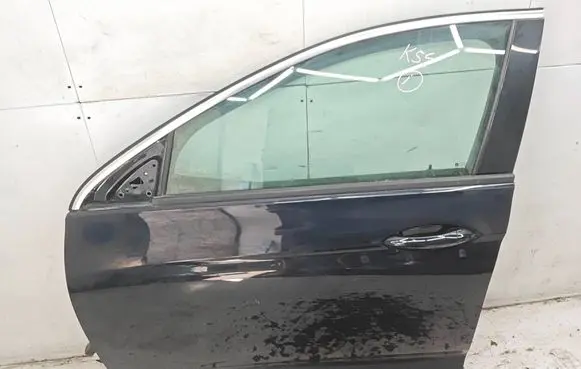 Opel Insignia B Front door DRZLPINAB