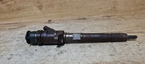 Citroen C4 I Fuel injector 0445110297
