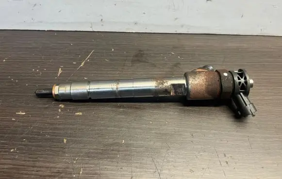 Citroen Berlingo Fuel injector 9828959880
