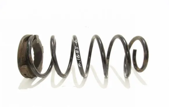 Rear coil spring