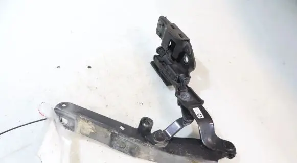 Infiniti Q50 Engine bonnet/hood hinges