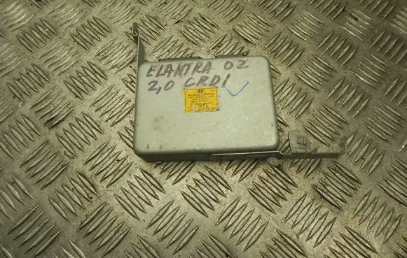 Hyundai Elantra Door control unit/module 954002D300