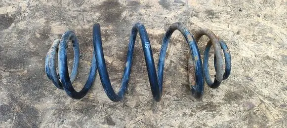 Rear coil spring
