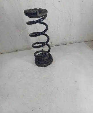 Nissan Murano Z50 Rear coil spring