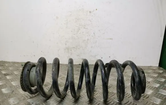 Jeep Cherokee Rear coil spring 7882AB
