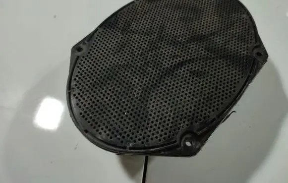 Front door speaker