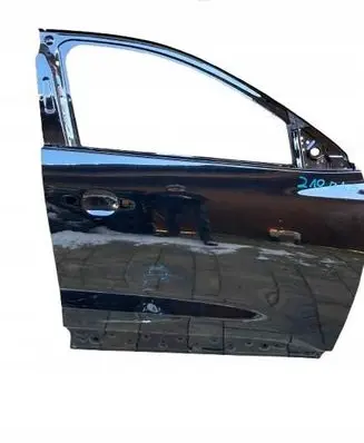 Renault Austral Front door AUSTRAL801126117