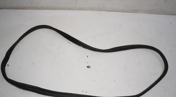 Hyundai IONIQ 6 Rubber seal rear door 