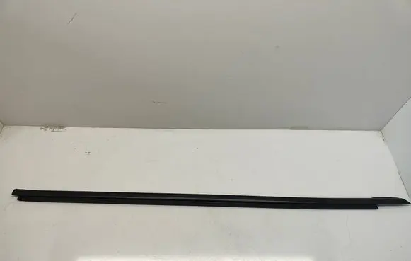 Dodge Challenger Front door trim (molding) 55399122AG