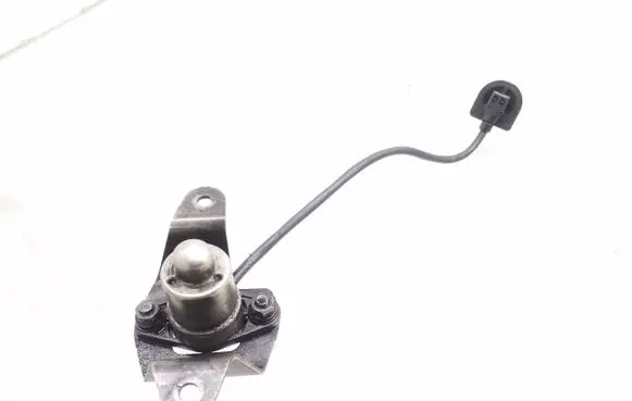 Opel Signum Oil level sensor 8973188470 395061014003