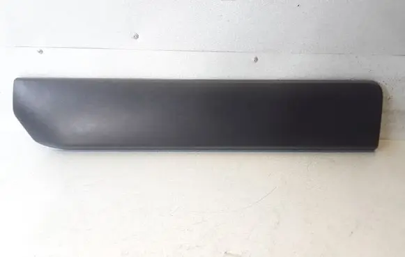 Rear door trim (molding)