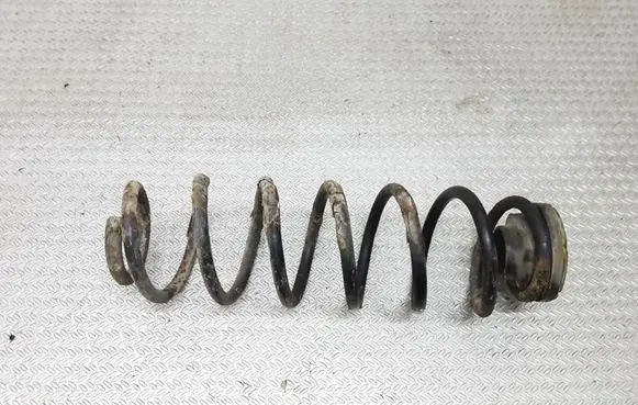 Volkswagen Polo IV 9N3 Rear coil spring