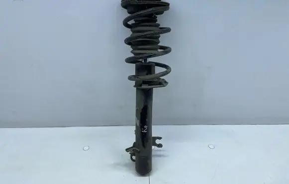 Mini Cooper Countryman R60 Front shock absorber with coil spring