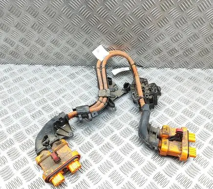 Audi Q4 Sportback e-tron Other wiring loom 1EA971015AA