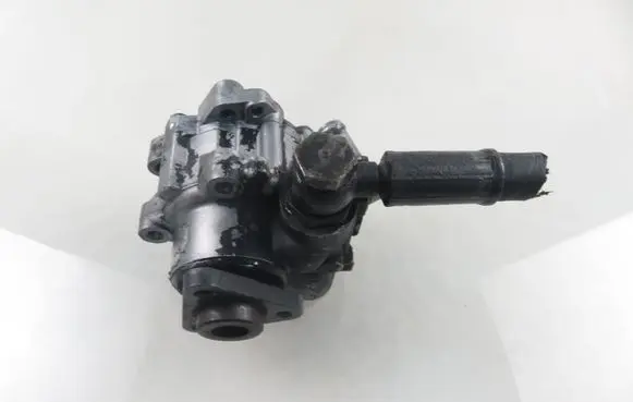 Volkswagen PASSAT B5.5 Power steering pump 