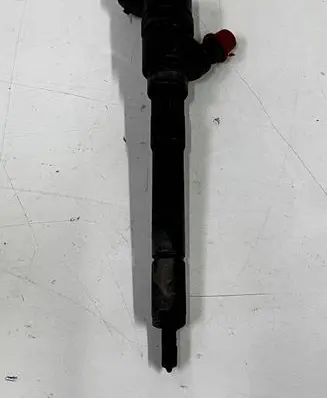 KIA Carens II Fuel injector 0445110258 3380027400