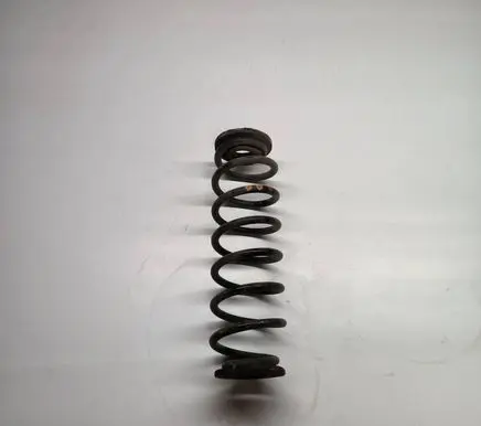 Skoda Yeti (5L) Rear coil spring 1K0512149B 1K0512297D