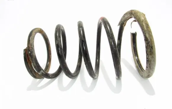 Rear coil spring