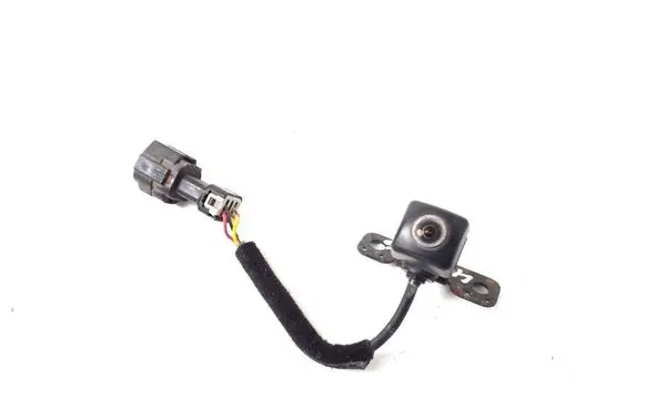 Hyundai Santa Fe Reversing camera 957602W000