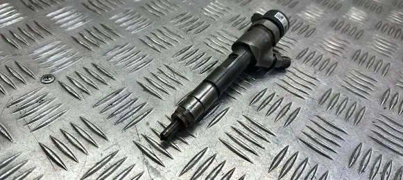 Suzuki Grand Vitara II Fuel injector 8200389369