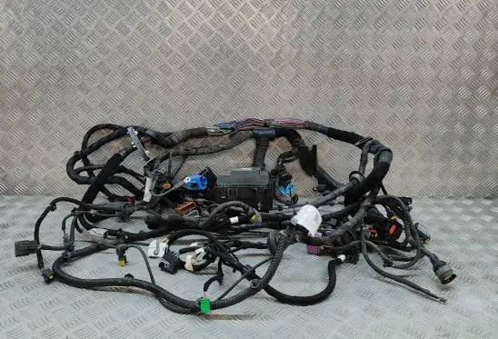 Maserati Ghibli Other wiring loom 670030455