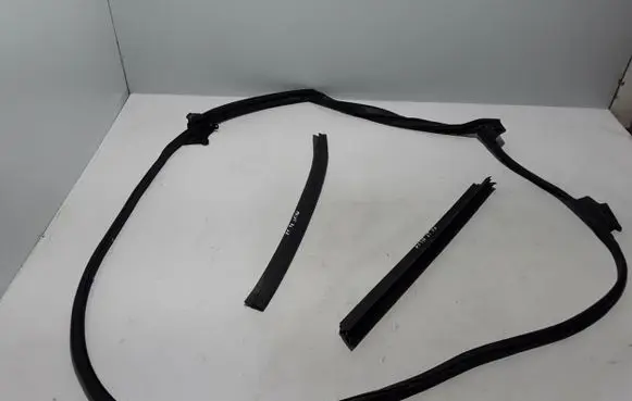 Lexus NX Rubber seal rear door 