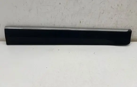 Ford Ecosport Front door trim (molding) GN1520848ACW