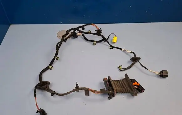 Volkswagen PASSAT B7 Front door wiring loom 3AB971121BB 3C0971615