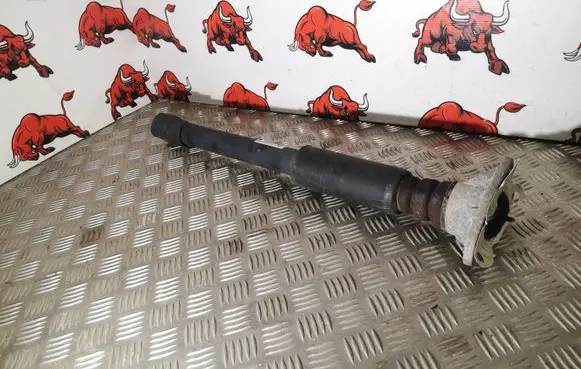 BMW X2 F39 Rear shock absorber/damper 6861670 149415 6791706