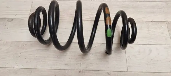 Volkswagen PASSAT B5.5 Rear coil spring